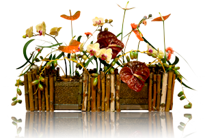 FDF-Kreativ-Award - Blumenladen Vier Jahreszeiten
Lübeck Travemünde